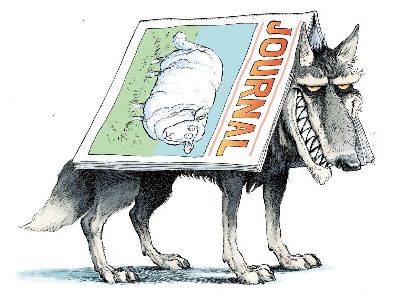 d41586-019-03759-y_17468170